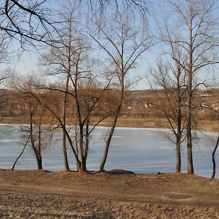 Sport Hotel Ostrov Trenčín Dış mekan fotoğraf