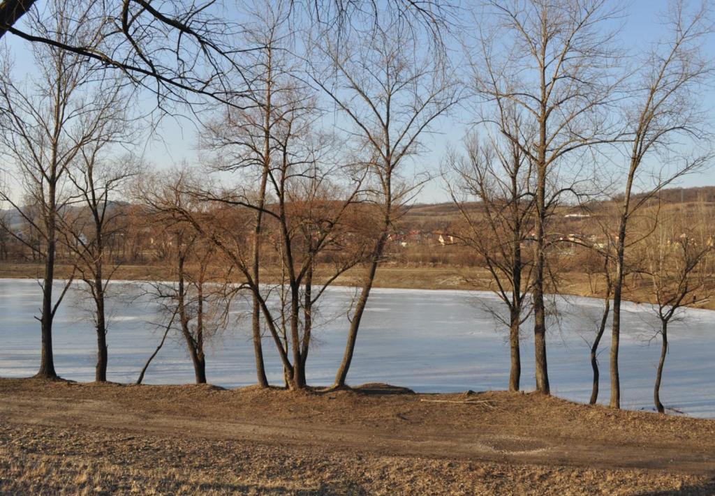 Sport Hotel Ostrov Trenčín Dış mekan fotoğraf